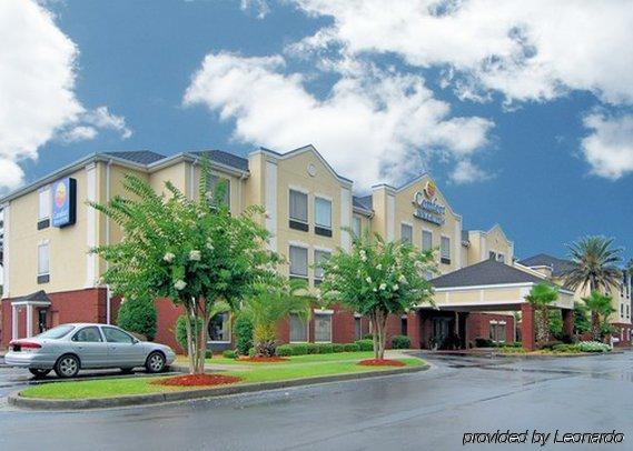 Comfort & - Area Hotel 2*